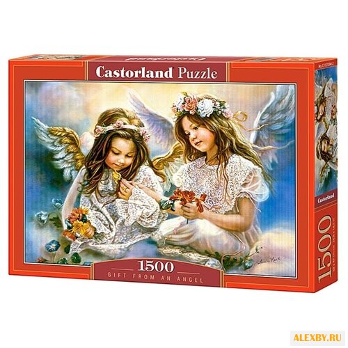 Пазл Castorland Gift from an