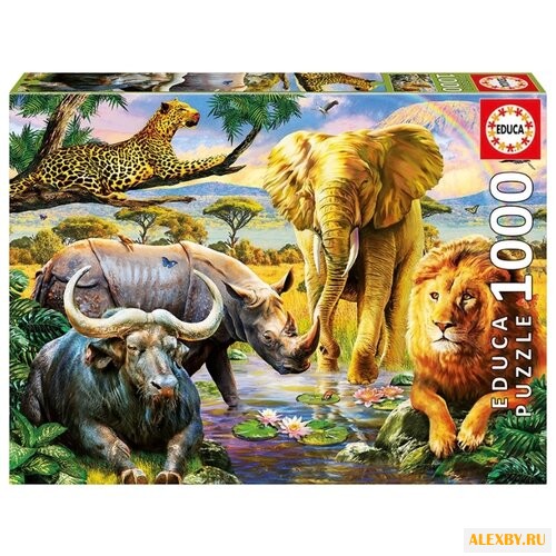 Пазл Educa Большая пятерка