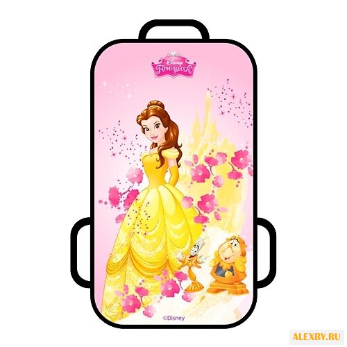 Ледянка 1 TOY Принцессы Т10449