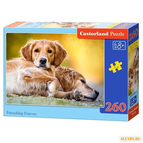 Пазл Castorland Friendship