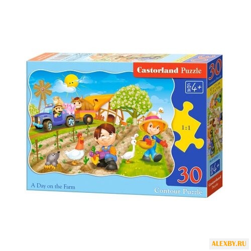 Пазл Castorland A Day on the
