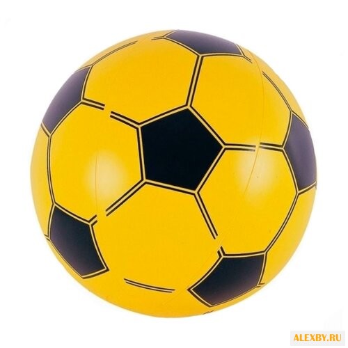 Мяч пляжный по видам спорта