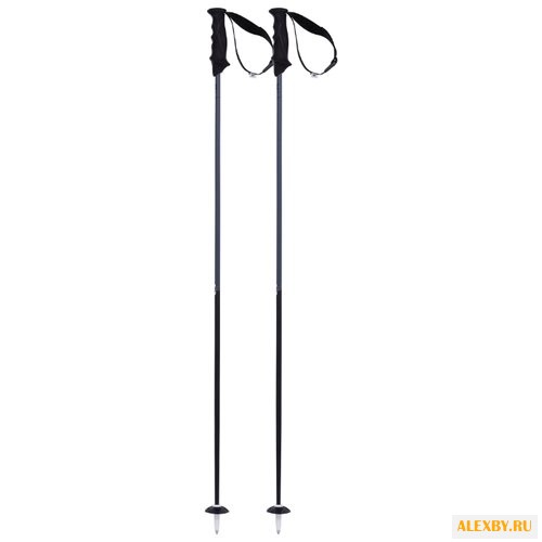 Палки для горных лыж Volkl