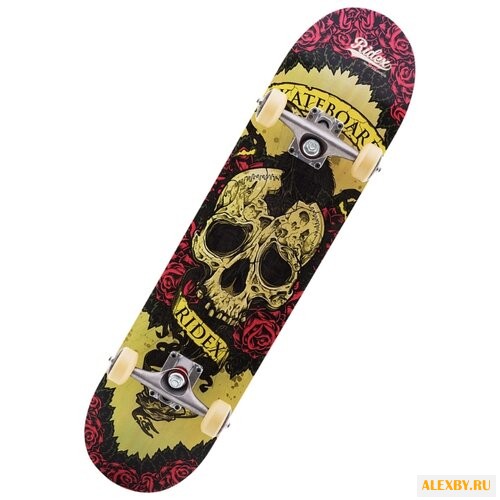 Скейтборд Ridex Blockhead 31