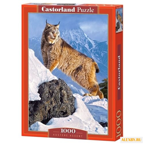 Пазл Castorland Austere Ascent