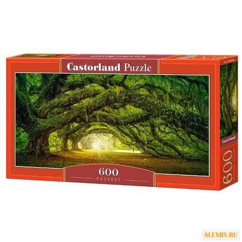 Пазл Castorland Passage