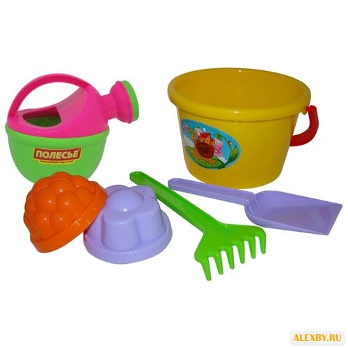 Набор Полесье №205 4375