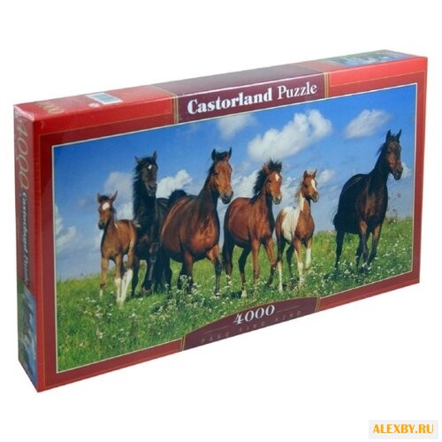 Пазл Castorland Paso Fino Herd