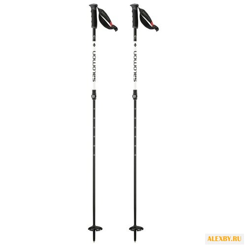 Палки для горных лыж Salomon