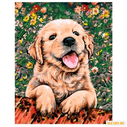 Цветной Картина по номерам