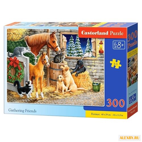 Пазл Castorland Gathering