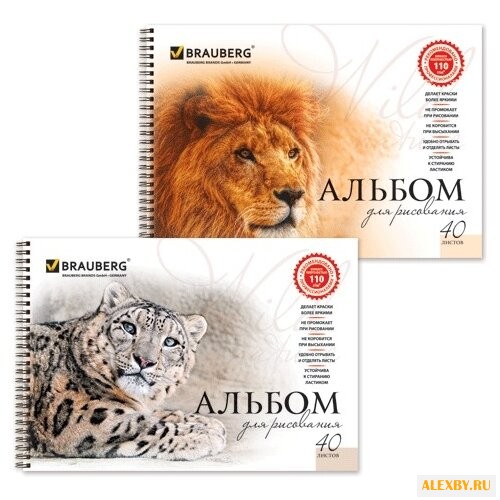 Альбом для рисования BRAUBERG
