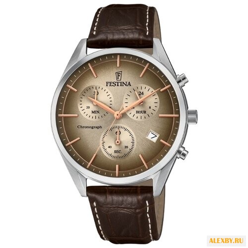Наручные часы FESTINA F6860 2