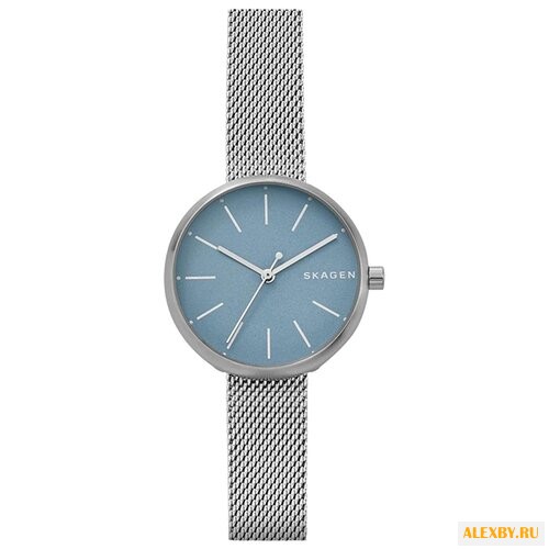 Наручные часы SKAGEN SKW2622