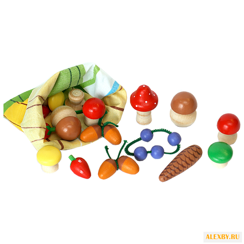 Развивающая игрушка КЛИМО Дары