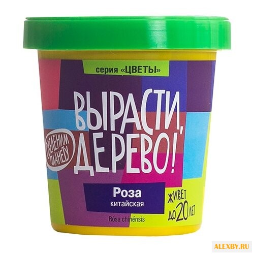 Набор для выращивания Вырасти