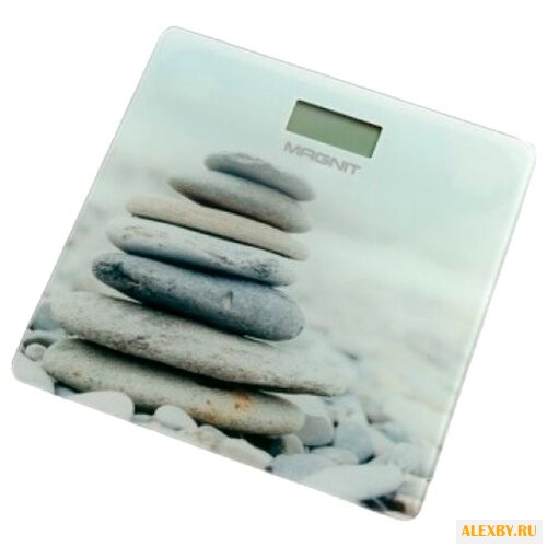 Весы MAGNIT RMX-6310