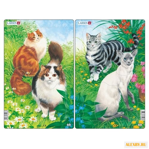 Рамка-вкладыш Larsen Кошки в