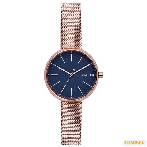 Наручные часы SKAGEN SKW2593