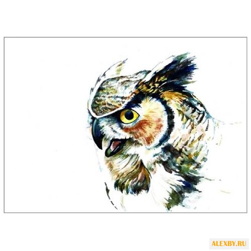 Цветной Набор алмазной вышивки