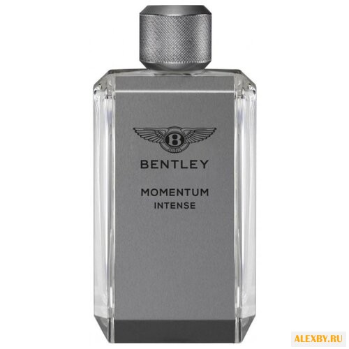 Bentley Momentum Intense