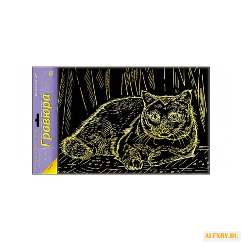 Гравюра Рыжий кот Британский