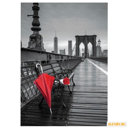 Пазл Educa Красный зонт