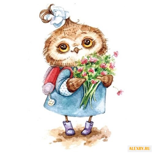 Цветной Набор алмазной вышивки