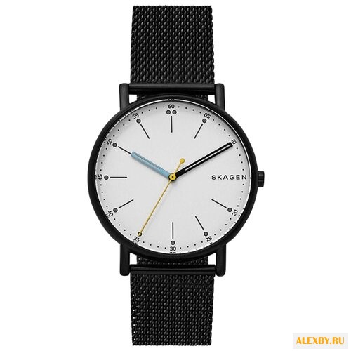 Наручные часы SKAGEN SKW6376