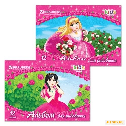 Альбом для рисования BRAUBERG