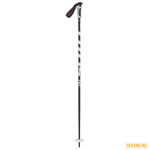 Палки для горных лыж SCOTT TEAM