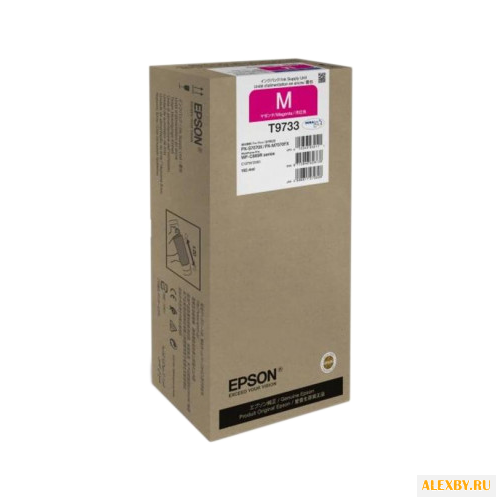 Картридж Epson C13T973300