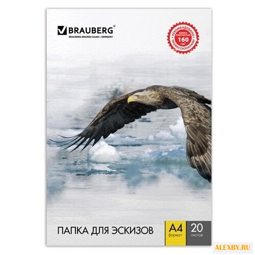 Папка для рисования BRAUBERG