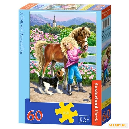 Пазл Castorland A Walk with