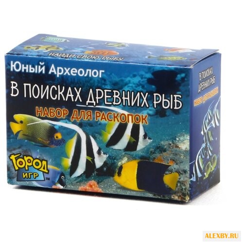 Набор для раскопок Город Игр