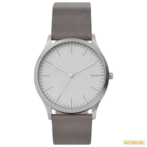 Наручные часы SKAGEN SKW6421