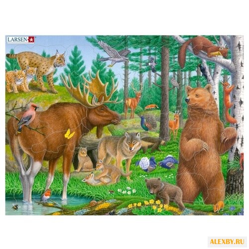 Рамка-вкладыш Larsen Лесные