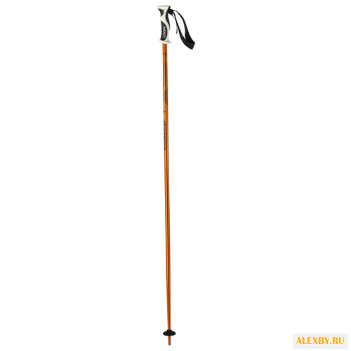 Палки для горных лыж Elan