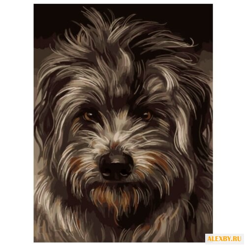 Цветной Картина по номерам Пес