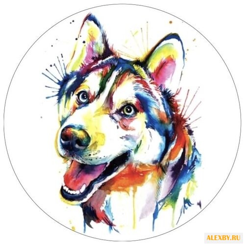 Цветной Вышивка крестом