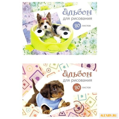 Альбом для рисования