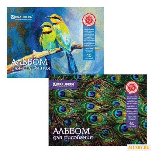 Альбом для рисования BRAUBERG