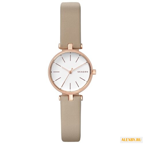 Наручные часы SKAGEN SKW2643