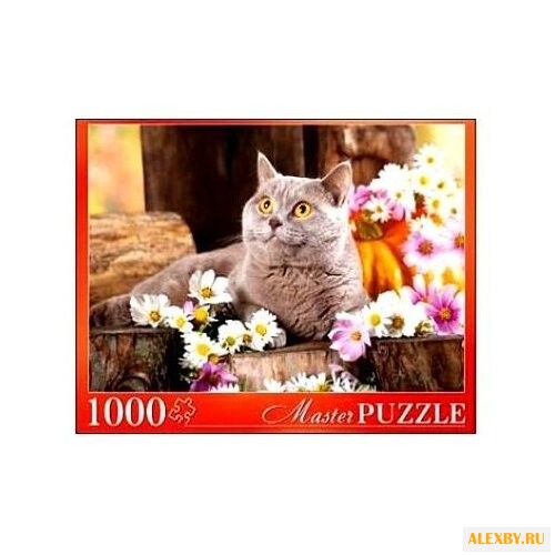 Пазл Рыжий кот Masterpuzzle