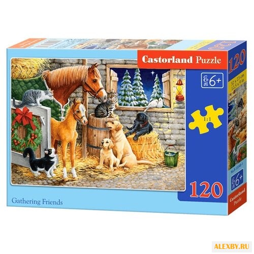Пазл Castorland Gathering