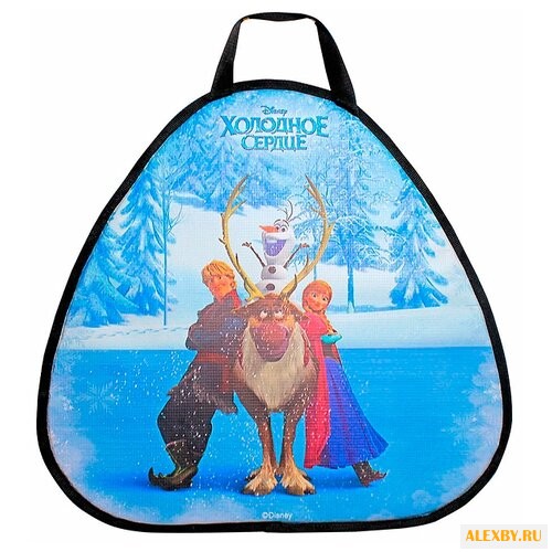 Ледянка 1 TOY Холодное сердце