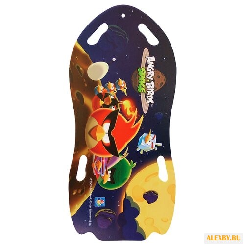 Ледянка 1 TOY Angry Birds Т56332