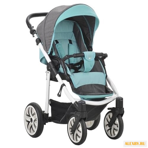 Прогулочная коляска Legacy Rider