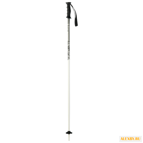 Палки для горных лыж Elan