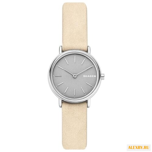 Наручные часы SKAGEN SKW2696